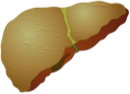 Non-Alcoholic Steatohepatitis (NASH)